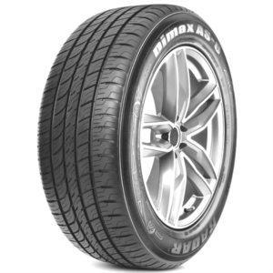 RADAR DIMAX AS-8 255/40ZR19 100W XL M+S 460AA
